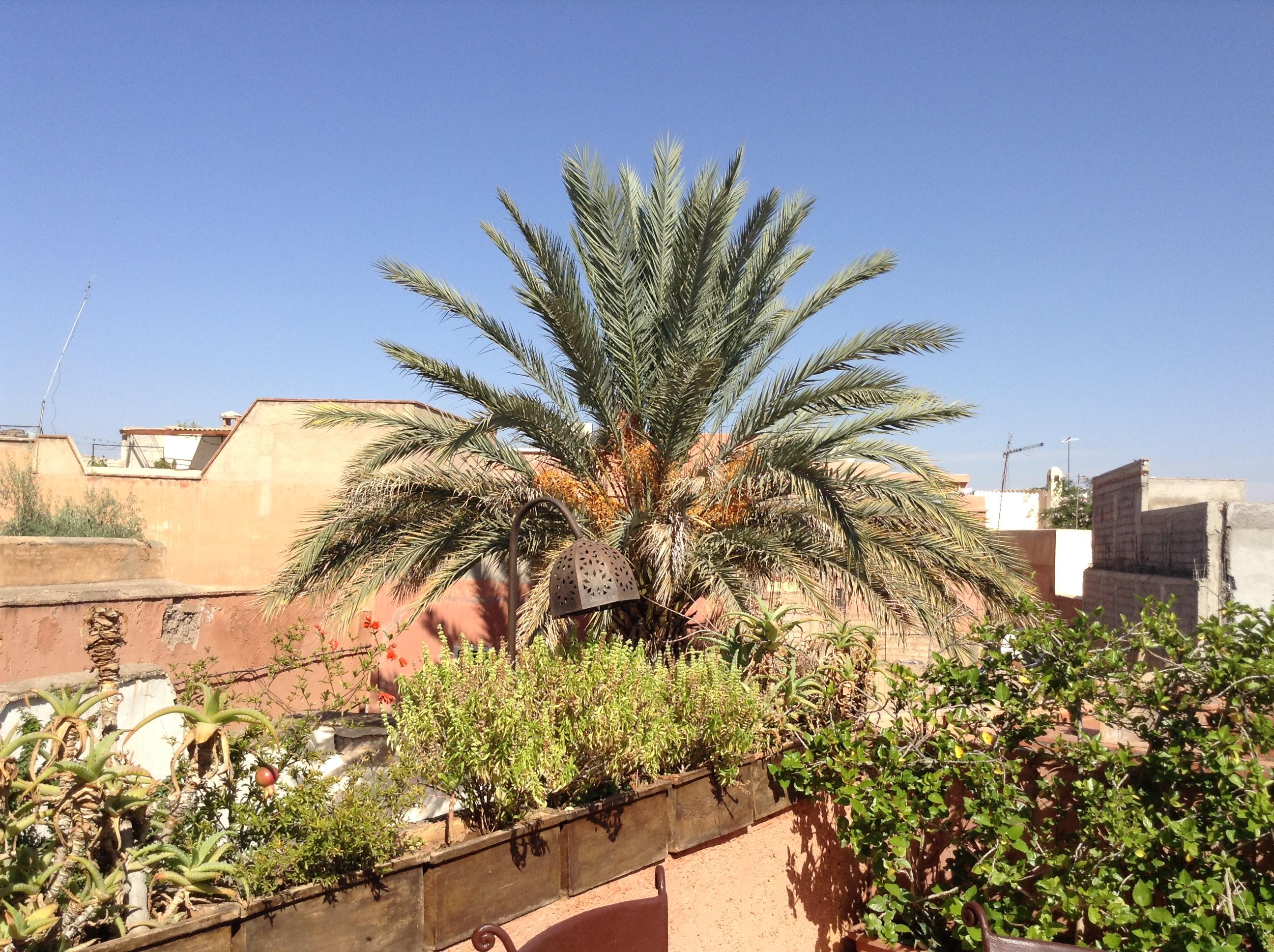 Dar Zemrane Hotel Marrakesh Exterior photo